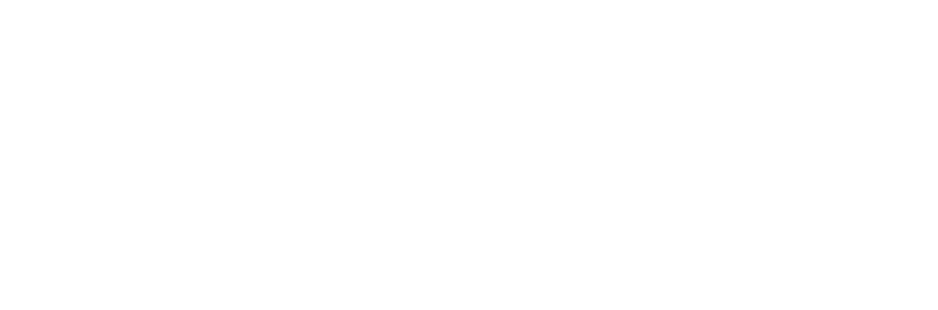 NeuralSoft